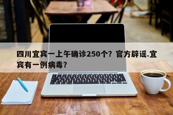 四川宜宾一上午确诊250个?官方辟谣.宜宾有一例病毒?