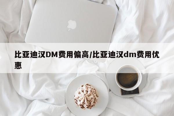 比亚迪汉DM费用偏高/比亚迪汉dm费用优惠